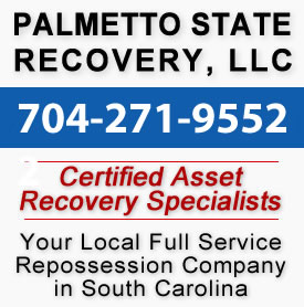 Palmetto-state-recovery.jpg