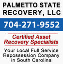Palmetto-state-recovery.jpg